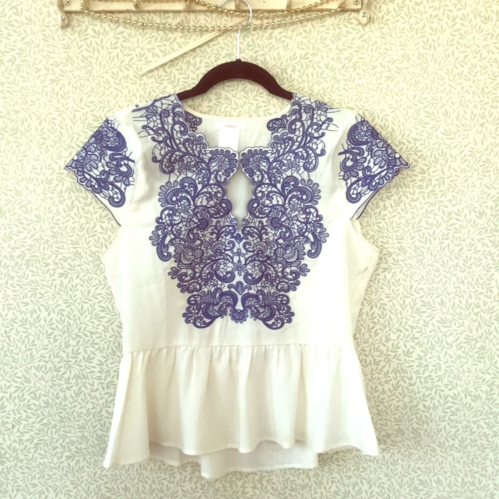 beautifully embroidered shirt